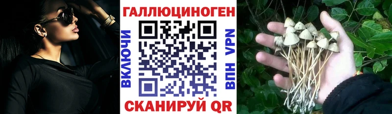 Псилоцибиновые грибы ЛСД Балей